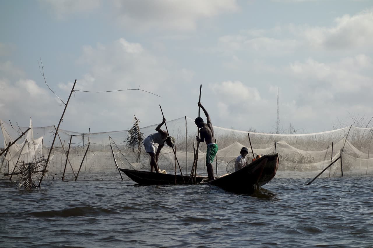 Hire in Benin landscape