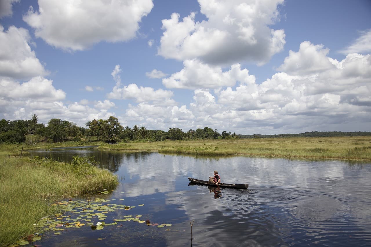 Hire in Guyana landscape