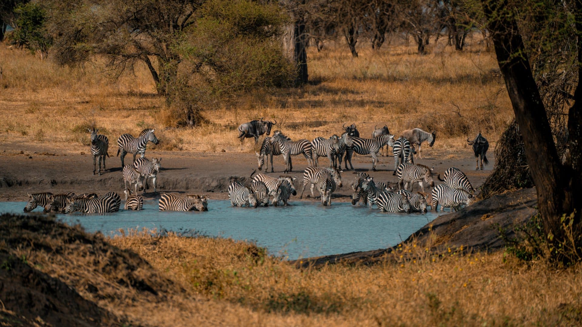 Hire in Kenya landscape