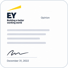 EY opinion, December 31, 2022